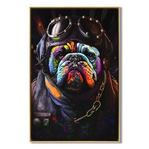 XXXL OBRAZ NA PLÁTNE, zvieratá, 62/92/4 cm