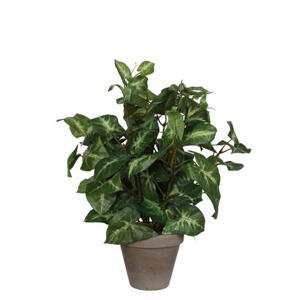 XXXL UMELÁ RASTLINA 35 cm