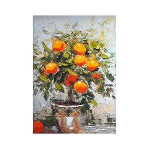 Monee OLEJOMAĽBA, ovocie, 70/100 cm