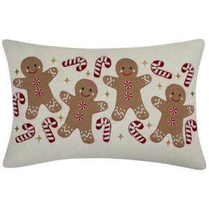 X-Mas DEKORAČNÝ VANKÚŠ 40/60 cm